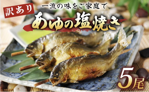 訳あり あゆの塩焼き 5尾 あゆ 鮎 アユ 鮎の塩焼き アユの塩焼き 鮎塩焼き アユ塩焼き あゆ塩焼き 焼魚 塩焼き 便利 簡易 簡単  簡単調理 魚 焼き魚 琵琶湖 国産 川魚 魚介 彦根 滋賀