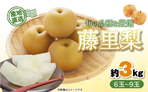 [オンライン決済限定] 梨 藤里梨 3kg ( 6 玉 〜 9玉 ) フルーツ 果物 くだもの 梨 なし ナシ 旬 梨