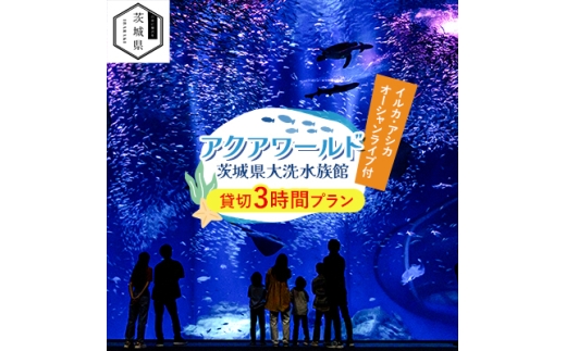 アクアワールド茨城県大洗水族館　貸切3時間プラン(イルカ・アシカオーシャンライブ付)【1424655】