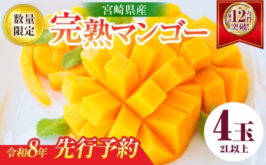 リピーター続出!!宮崎県産 完熟 マンゴー 2L以上×4玉 令和8年発送分 数量限定 フルーツ 果物 果汁 希少 濃厚 ジューシー 贅沢 上質 ご褒美 人気 国産 食品 おやつ デザート 産地直送 おすすめ ギフト プレゼント 贈り物 お土産 手土産 南国 日南市 送料無料_ED10-25 1078855 - 宮崎県日南市