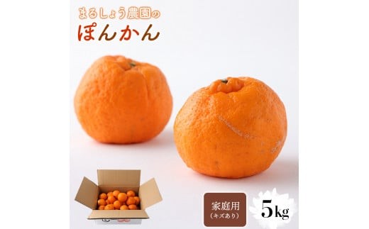[先行予約]家庭用(キズあり)ぽんかん 5kg