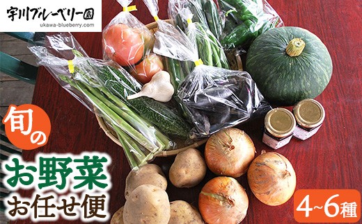 宇川ブルーベリー園の旬のお野菜おまかせ便 4～6種 80サイズ箱でお届け　※沖縄・離島への配送不可 2237962 - 福島県猪苗代町