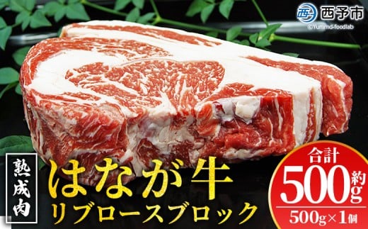 ＜熟成肉 はなが牛リブロースブロック約500g（500g×1個）＞ 牛肉 ステーキ 鉄板焼き 焼き肉 国産 塊肉 かたまり 霜降り しもふり バーベキュー BBQ キャンプ アウトドア 特産品 ゆうぼく 愛媛県 西予市【冷凍】 2244548 - 愛媛県西予市