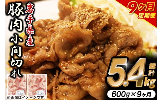 ＼9ヶ月連続 定期便／【岩手県産豚肉】小間切れ600g (300g×2パック) (総計 5.4kg) 大容量 肉 冷凍 小分け しゃぶしゃぶ 焼肉 お弁当 おかず 岩手 いわちく 紫波町（AB137）