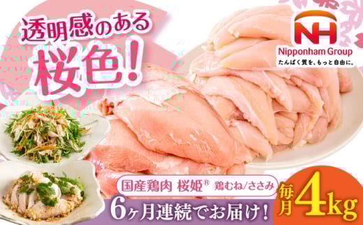 【全6回定期便】桜姫ヘルシーセット 計4kg（鶏むね・ささみ 各2kg）《厚真町》【東日本フード株式会社】 桜姫 国産鶏肉 鶏肉 鶏 むね肉 ムネ ささみ ささみ肉 冷凍 北海道 [AXBM060] 2193471 - 北海道厚真町