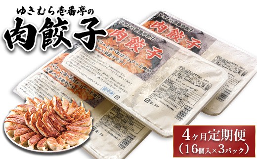 【4ヶ月定期便】ゆきむら壱番亭の肉餃子3パック(48個入り) ※離島への配送不可 2238389 - 茨城県土浦市