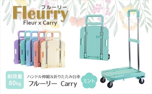 ハンドルが伸縮する台車「フルーリーCarry」　カラー：ミント（グリーン） 2130508 - 愛知県春日井市