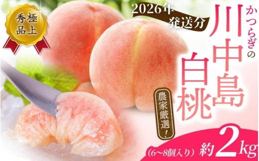 【予約受付】こだわり農家厳選 川中島白桃 和歌山産の桃 <大玉特秀品> 約2kg（6個~9個） 【2026年7月末頃～2026年8月末頃に順次発送予定】（お届け日指定不可）/ 桃 もも 川中島 白桃 フルーツ 果物 くだもの 【kgr011A】 1440303 - 和歌山県串本町