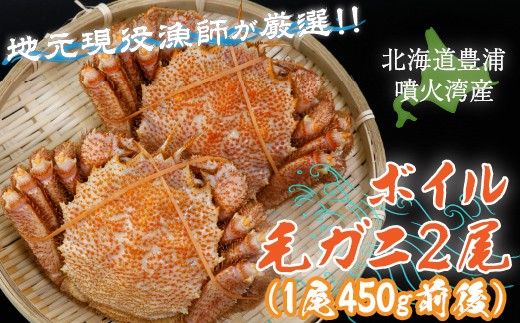 【令和8年度発送先行予約】【地元現役漁師が厳選！！】ボイル・毛ガニ2尾 （1尾450g前後） 北海道 豊浦 噴火湾 【 ふるさと納税 人気 おすすめ ランキング 魚介類 カニ 蟹 かに 毛がに 毛蟹 大容量 お得 おいしい 美味しい 新鮮 北海道 豊浦町 送料無料 】 TYUR004