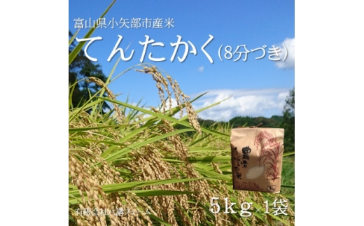 ＜2025年9月上旬頃から順次発送＞令和7年産米「てんたかく」(8分づき)5kg×1袋【1655814】 2238643 - 富山県小矢部市