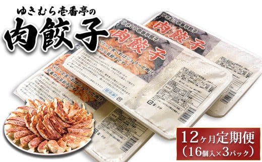 【12ヶ月定期便】ゆきむら壱番亭の肉餃子3パック(48個入り) ※離島への配送不可 2238397 - 茨城県土浦市