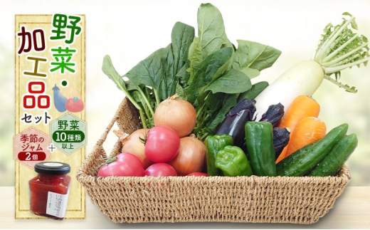 野菜・加工品セット 野菜10種類以上＋季節のジャム2個　野菜 季節の野菜 セット 産地直送 新鮮 野菜農家 季節 詰め合わせ 産直 国産 お楽しみ おまかせセット 千葉市 [№5346-1443]