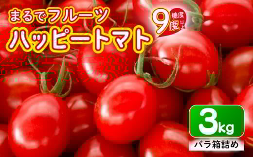 【先行予約】ハッピートマト3㎏