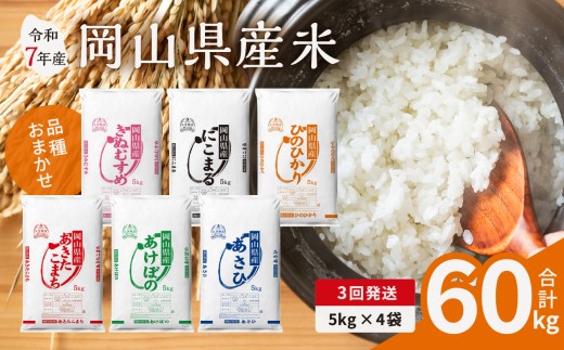 【3ヶ月定期便】【令和7年産米】岡山県産米 20kg (5kg×4袋) × 3回　計60kg （令和7年11月上旬以降発送）【定期便 お米 ランダム 配送 ヒノヒカリ にこまる 朝日 アケボノ あきたこまち 令和7年産 米 精米】 2256865 - 岡山県備前市