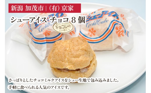 シューアイス チョコ 8個 アイスクリーム しゅーあいす スイーツ ひんやり 氷菓 ジェラート 洋菓子 京家 加茂市