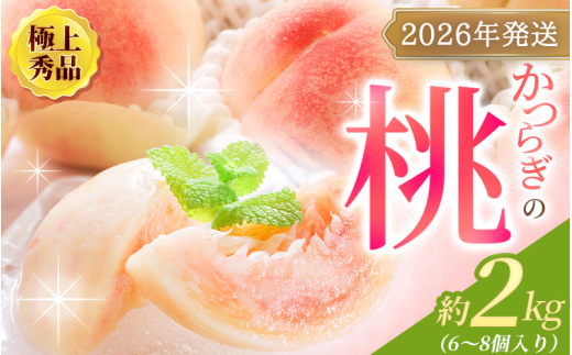 【先行予約】【厳選】あふれる果汁で口いっぱい！ 和歌山県産 桃 約2kg（6個~9個） 【2026年6月末頃～2026年8月末頃に順次発送予定】（お届け日指定不可）/ 和歌山 桃 モモ フルーツ もも 白桃 果物 くだもの【kgr001A】 1319075 - 和歌山県太地町
