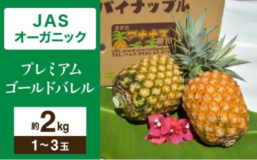 【JASオーガニック】 プレミアムゴールドバレル 約2kg 1～3玉