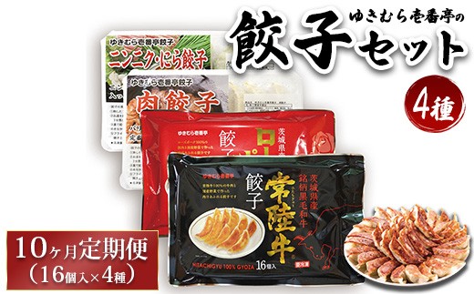【10ヶ月定期便】ゆきむら壱番亭の4種の餃子セット ※離島への配送不可