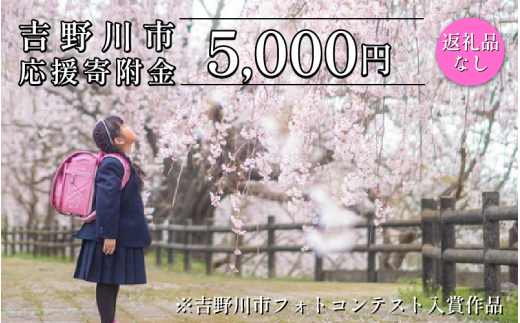 【 返礼品なし 5,000円 】 徳島県 吉野川市 への 寄附 応援寄附金 2282851 - 徳島県吉野川市