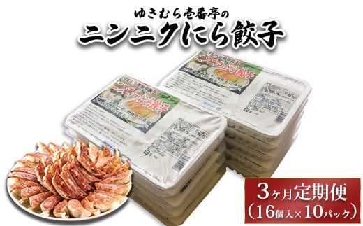 【3ヶ月定期便】ゆきむら壱番亭のニンニクにら餃子10パック(160個入り) ※離島への配送不可 2238467 - 茨城県土浦市
