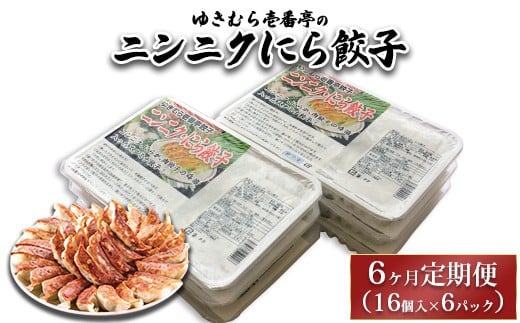 【6ヶ月定期便】ゆきむら壱番亭のニンニクにら餃子6パック(96個入り) ※離島への配送不可 2238459 - 茨城県土浦市