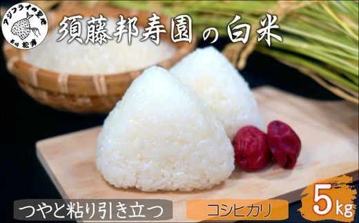 【令和7年産米】須藤邦寿園の白米 コシヒカリ5kg( 米 コメ お米 コシヒカリ こしひかり 5kg 5キロ 甘い 甘み 粘り 精米 国産 送料無料 )【B6-051】