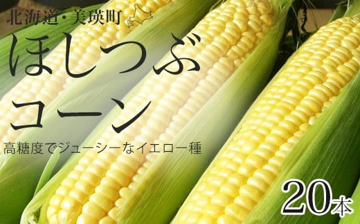 【先行予約】とうもろこし（ほしつぶコーン）20本 <令和8年産 >黒木農場 | とうもろこし 北海道 スイートコーン とうきび 夏野菜 美瑛産 北海道産 北海道産とうもろこし[016-90]