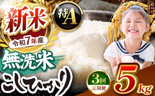 【栃木県共通返礼品】【令和7年度新米先行予約】栃木県産コシヒカリ 無洗米 5kg 定期便3回 | 定期便 お米 米 こめ 洗米 新米 無洗米 コシヒカリ こしひかり 美味しい お弁当 選べる ふるさと 納税 栃木県 矢板市
