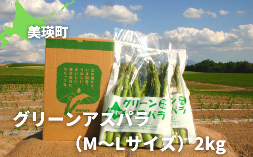 【先行予約】グリーンアスパラ Ｍ～Ｌサイズ 2kg <令和8年産 >黒木農場  | グリーン アスパラガス アスパラ あすぱら あすぱらがす 採れたて 新鮮 旬 産地直送 野菜[020-96]