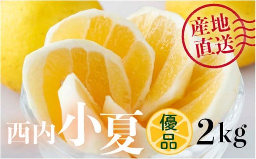 【優品】西内小夏 2kg　N53
