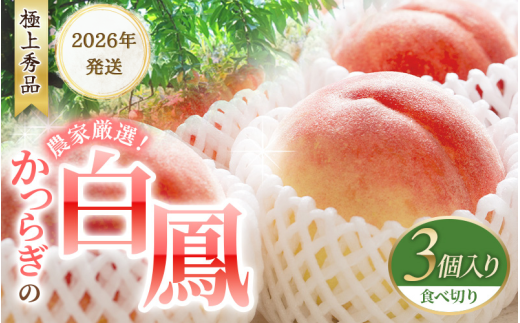 【予約受付】桃の王様 白鳳 <特秀品> うれしい食べきり容量 3玉 【2026年6月末頃～2026年7月末頃に順次発送予定】（お届け日指定不可）/ 桃 もも 白鳳 フルーツ 果物 くだもの 【kgr010】 1440363 - 和歌山県太地町