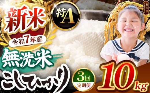 【栃木県共通返礼品】【令和7年度新米先行予約】栃木県産コシヒカリ 無洗米 10kg 定期便3回 | 定期便 お米 米 こめ 洗米 新米 無洗米 コシヒカリ こしひかり 美味しい お弁当 選べる ふるさと 納税 栃木県 矢板市