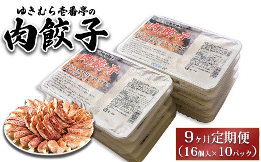 【9ヶ月定期便】ゆきむら壱番亭の肉餃子10パック(160個入り) ※離島への配送不可
