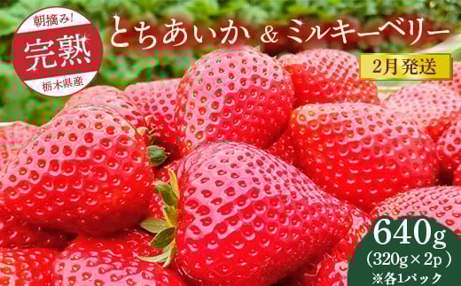 【先行予約】【2月発送】朝摘み！完熟とちあいか＆ミルキーベリーの紅白セット 640g（320g×2p(各1パック) ）　※離島への配送不可　※2026年2月上旬～2月下旬頃に順次発送予定 2238178 - 栃木県鹿沼市