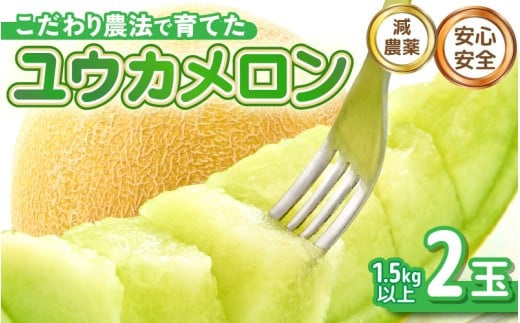 【先行予約】 安心安全！減農薬！こだわり農法で育てた ユウカメロン 2玉  (1玉あたり：1.5kg以上) 【2026年6月中旬以降順次発送予定】 【メロン めろん フルーツ デザート 果物 くだもの 果実 糖度 甘い 産地直送 国産】 [B-21203]