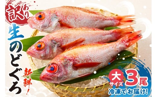 [先行予約][兵庫県香住産 処理済 のどぐろ大3匹 1匹約250g前後 計約700〜800g 冷凍]令和7年9月中旬以降発送予定 日本海で水揚げ 生冷凍 鮮度抜群、脂乗りの良いノドグロを急速冷凍 細胞を壊さず、食品の美味しさをキープ 白身のトロ 産地直送 兵庫県 香美町 香住 柴山 山陰 大人気 ふるさと納税 送料無料 宿院商店 32000円 33-31