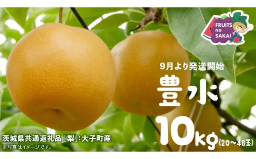 豊水 梨 10kg (20〜48玉)[2025年9月より発送開始](茨城県共通返礼品 [梨]:大子町産) なし 旬 お取り寄せ フルーツ 甘い ジューシー 和梨 時期