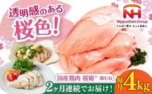 【全2回定期便】桜姫 鶏むね 計4kg（2kg×2パック）《厚真町》【東日本フード株式会社】 桜姫 国産鶏肉 鶏肉 鶏 とり肉 ムネ むね肉 鶏むね 冷凍 北海道 [AXBM009] 2193432 - 北海道厚真町