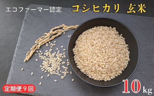 《定期便9ヶ月》令和7年産 新米　【エコファーマー認定】 コシヒカリ 玄米 10kg ／ 米 こめ コメ ごはん ご飯 お米 おこめ 玄米 新米 エコファーマー認定 10kg 定期便 令和7年 千葉県 東庄町 産地直送 2268638 - 千葉県東庄町