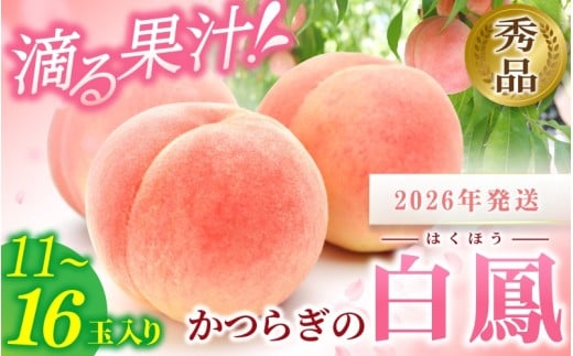 ☆2026年先行予約☆ 和歌山県産 白鳳 桃 11～15玉入り 秀品【2026年6月下旬から7月下旬ごろ発送】/ かつらぎ町 和歌山県産 桃 モモ 白鳳 フルーツ 果物 くだもの 人気 産地直送 厳選 甘い 予約 