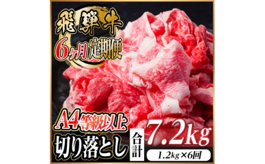 レビューキャンペーン実施中!＜毎月定期便＞飛騨牛 厳選切り落とし 計7.2kg全6回　小分け【4055983】