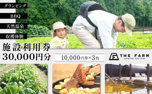 BBQやキャンプなども楽しめる複合施設 THE FARM利用券30,000円分 KTRC017 2239603 - 千葉県香取市
