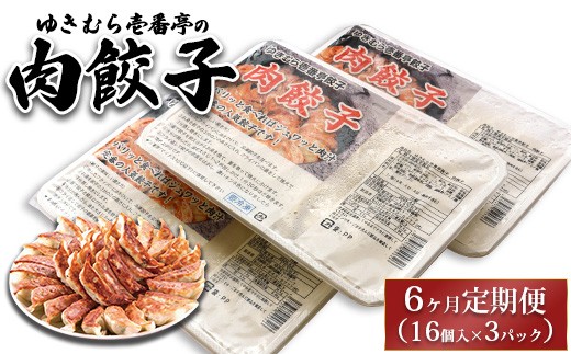 【6ヶ月定期便】ゆきむら壱番亭の肉餃子3パック(48個入り) ※離島への配送不可 2238391 - 茨城県土浦市