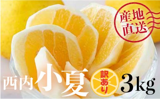 【訳アリ】西内小夏　3kg　N42