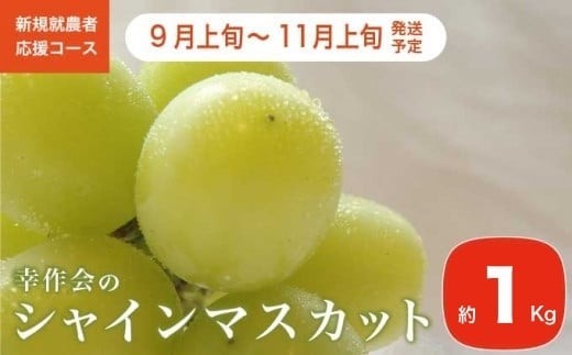 シャインマスカット 約1kg［新規就農者応援コース 幸作会］ ぶどう 葡萄 ブドウ 生産者応援 果物 フルーツ 先行予約 数量限定 令和7年産【2025年9月上旬～11月上旬発送】 ［K-40］