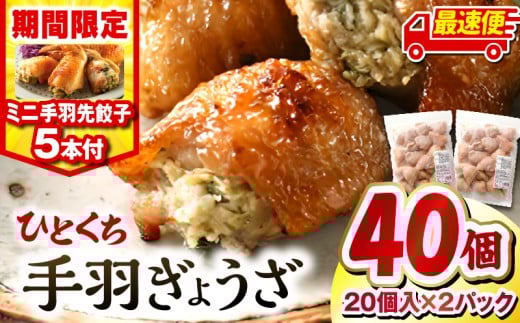 【最速便】【期間・数量限定】ひとくち手羽ぎょうざ 計40個(20個入×2)・手羽先餃子(小サイズ5本)| 餃子 手羽 てば 肉 お肉 手羽先 手羽先餃子 宮崎餃子 ご当地 グルメ ご当地グルメ おつまみ おかず 中華料理 焼き餃子 揚げ餃子 鶏肉 豚肉 牛肉 一口 ひとくち 一口サイズ 冷凍 宮崎 宮崎市 ｜_M025-005-B-2W 2242725 - 宮崎県宮崎市