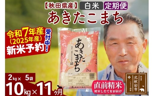 ※令和7年産 新米予約※《定期便11ヶ月》秋田県産 あきたこまち 10kg【白米】(2kg小分け袋) 2025年産 お届け時期選べる お届け周期調整可能 隔月に調整OK お米 おおもり