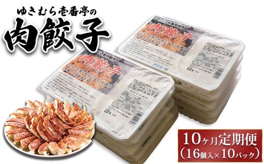 【10ヶ月定期便】ゆきむら壱番亭の肉餃子10パック(160個入り) ※離島への配送不可