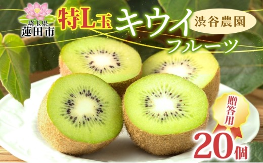 渋谷農園 キウイフルーツ 贈答用 特L玉 20個入り キウイ グリーン グリーンキウイ フルーツ 栄養 ビタミンC 食物繊維 酵素 カリウム 葉酸 ビタミンE 低カロリー 果実 果物 お取り寄せ ご当地 送料無料 埼玉県 蓮田市 704015 - 埼玉県蓮田市