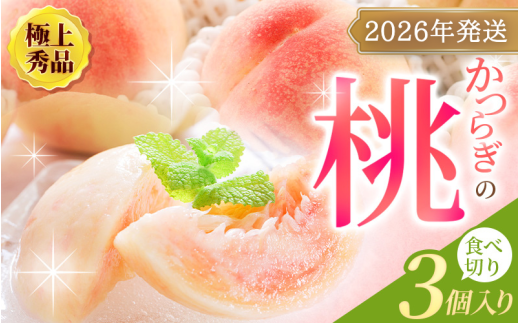 【先行予約】【厳選】あふれる果汁で口いっぱい！ 食べきりサイズ 和歌山県産 桃 3玉 【2026年6月末頃～2026年8月末頃に順次発送予定】（お届け日指定不可）/ 和歌山 桃 モモ フルーツ もも 白桃 果物 くだもの【kgr002】